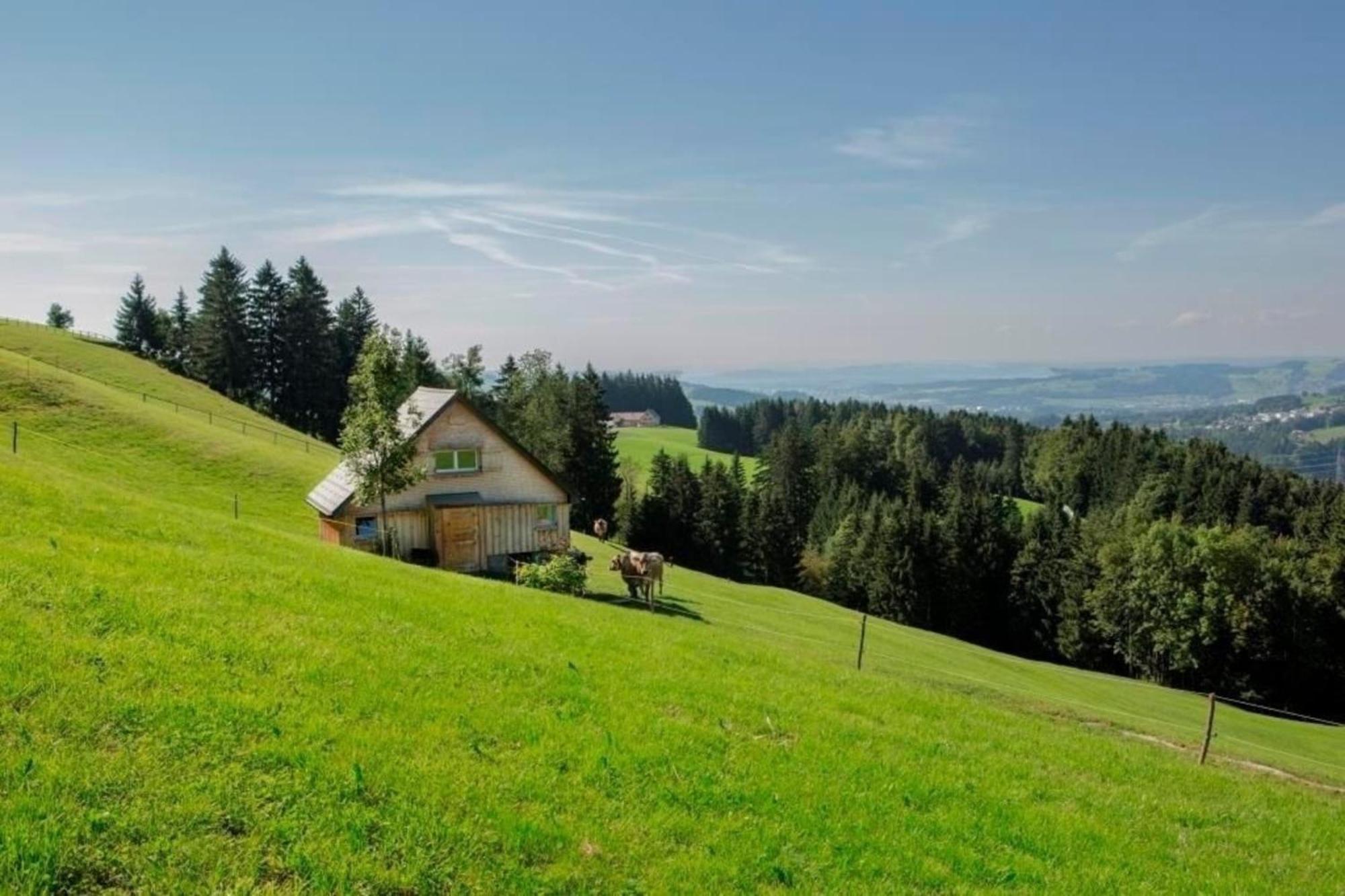 Bauernhof Fendrig - Neue Wohnung Haslen Kültér fotó