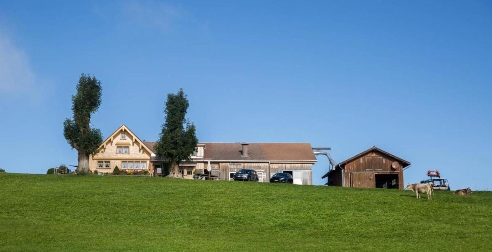 Bauernhof Fendrig - Neue Wohnung Haslen Kültér fotó