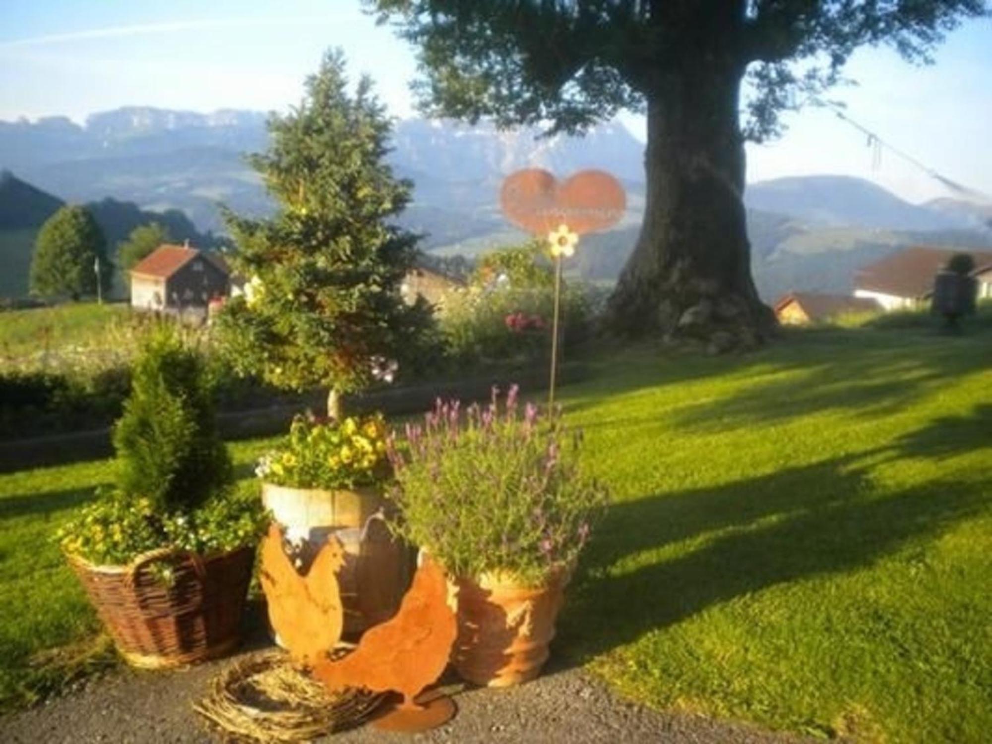 Bauernhof Fendrig - Neue Wohnung Haslen Kültér fotó